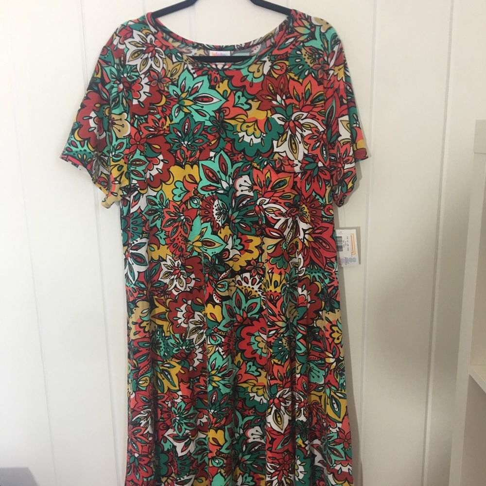 Lularoe Multicolored Carly